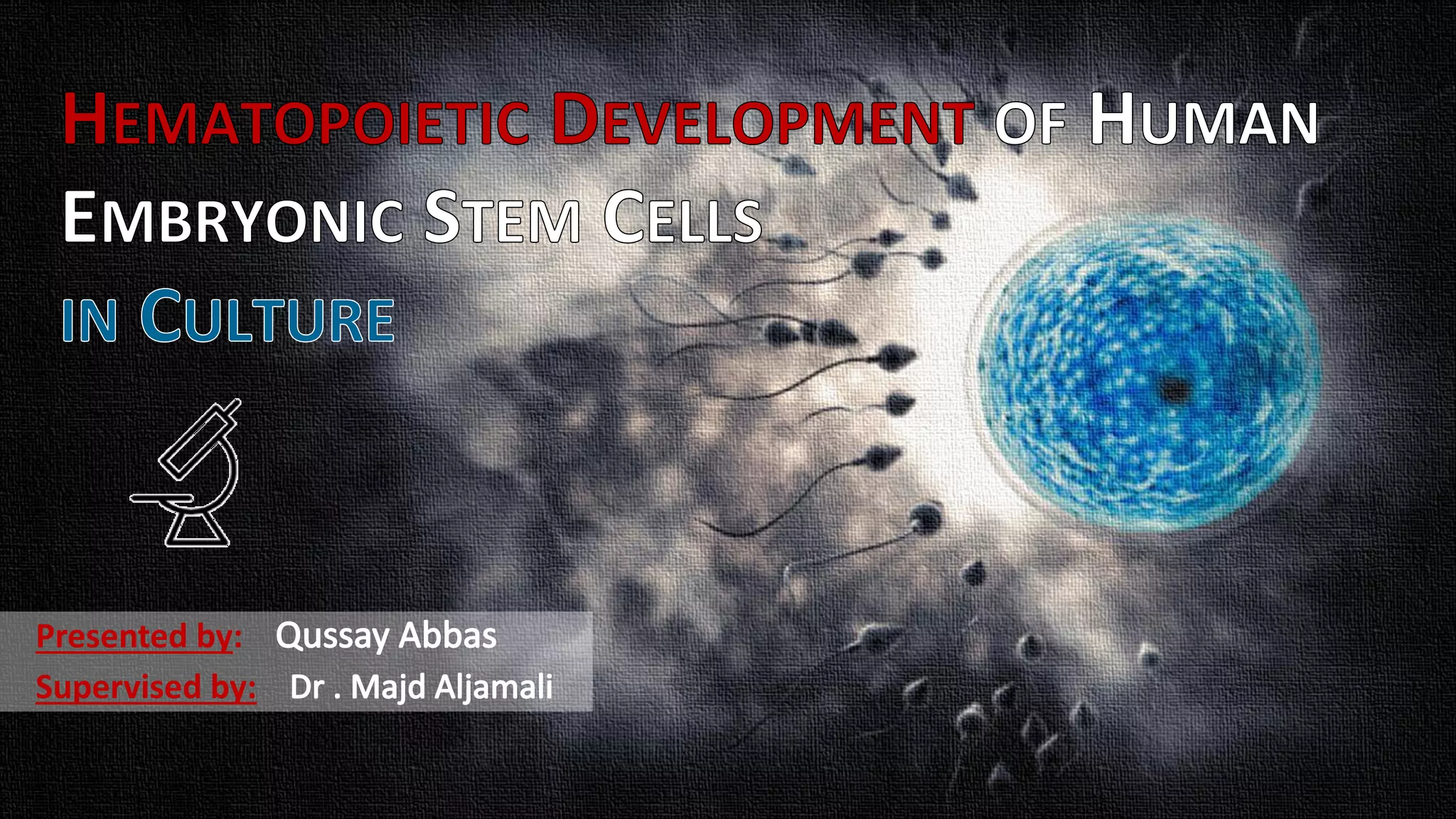 Hematopoietic development of human embryonic stem cells | PDF