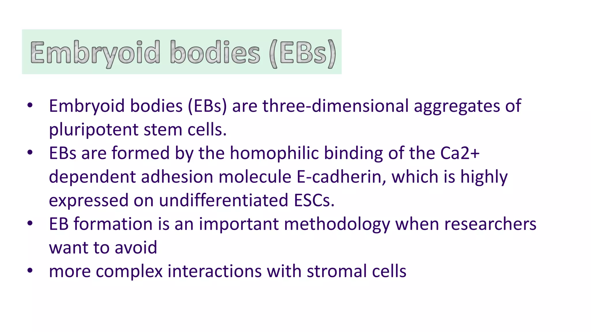 Hematopoietic development of human embryonic stem cells | PDF