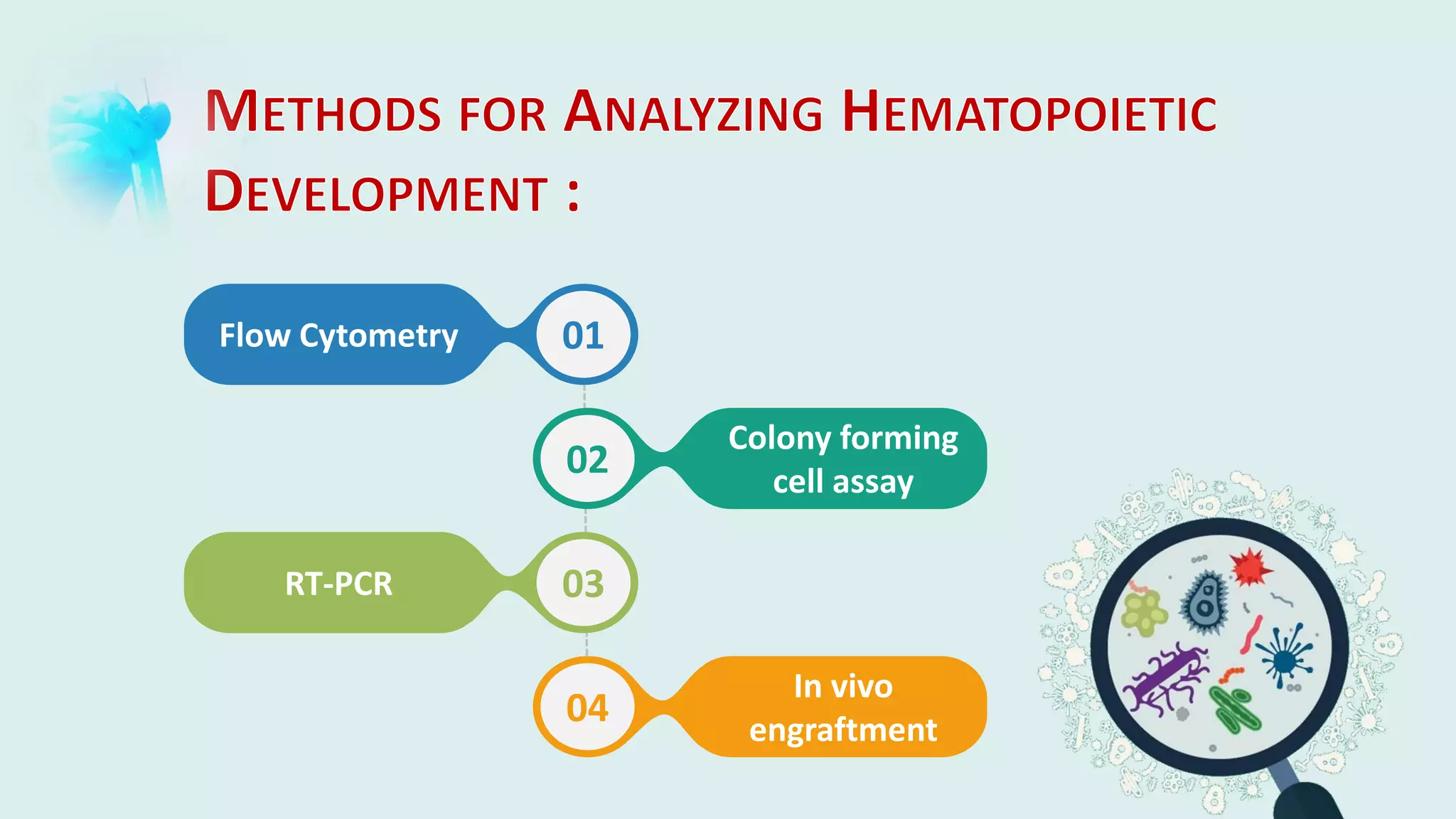 Hematopoietic development of human embryonic stem cells | PDF