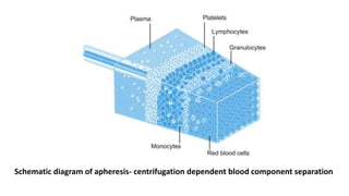Hematopoietic Stem Cell Harvesting and Mobilization.pptx