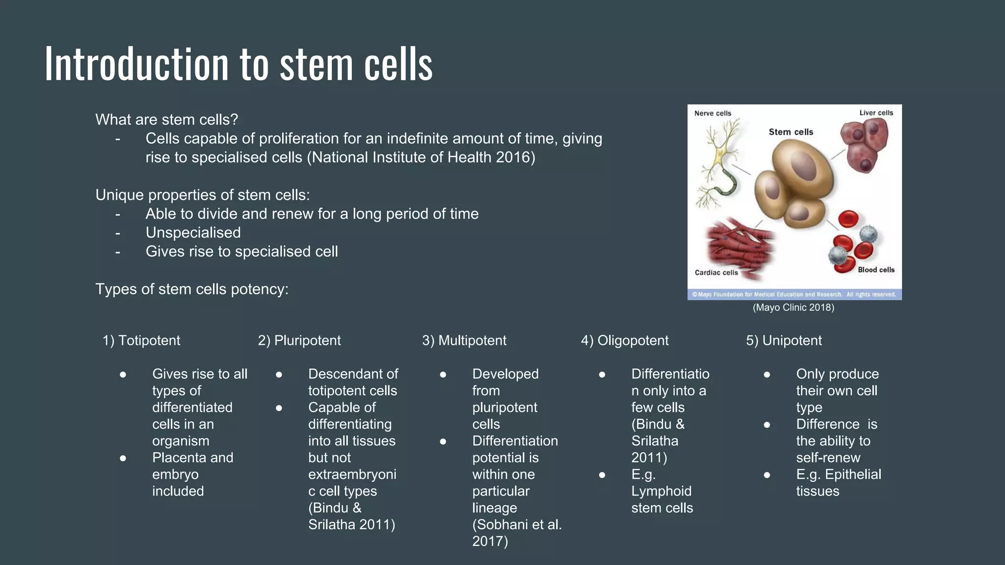 Hematopoietic Stem Cells Transplantation for Multiple Myeloma | PPT