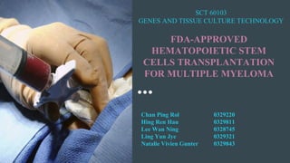 FDA-APPROVED
HEMATOPOIETIC STEM
CELLS TRANSPLANTATION
FOR MULTIPLE MYELOMA
SCT 60103
GENES AND TISSUE CULTURE TECHNOLOGY
Chan Ping Rol 0329220
Hing Ren Hau 0329811
Lee Wan Ning 0328745
Ling Yun Jye 0329321
Natalie Vivien Gunter 0329843
 