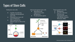 Hematopoietic Stem Cells Transplantation for Multiple Myeloma | PDF