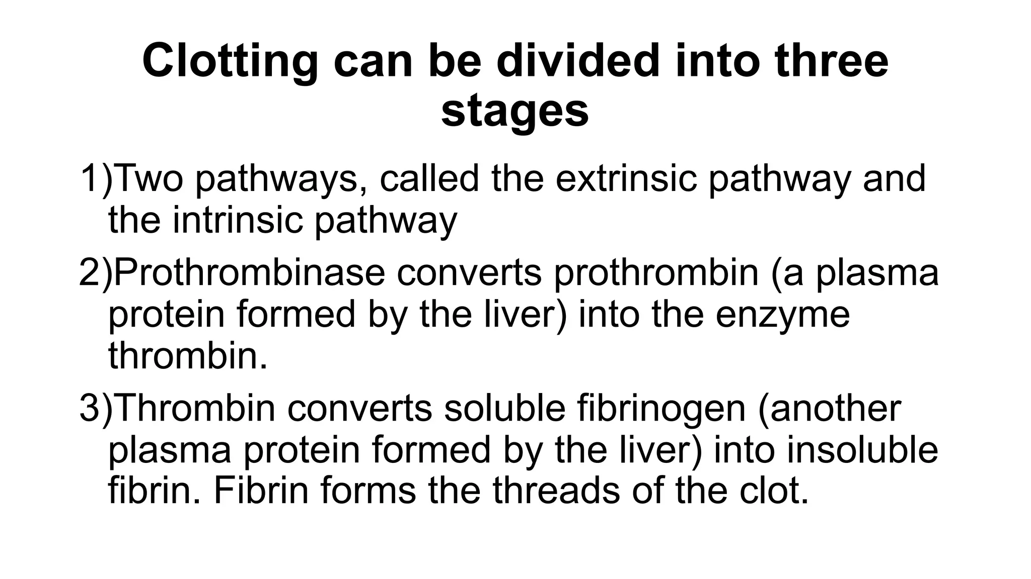 Hematopoietic System.pptx