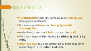 Hematopoietic system.pptx