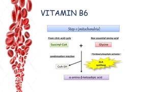 VITAMIN B6
(PLP)
 