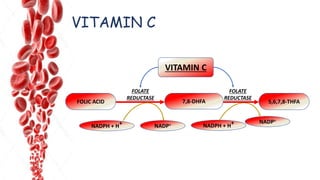 VITAMIN C
FOLIC ACID 7,8-DHFA 5,6,7,8-THFA
NADPH + H+ NADPH + H+NADP+
NADP+
FOLATE
REDUCTASE
FOLATE
REDUCTASE
VITAMIN C
 
