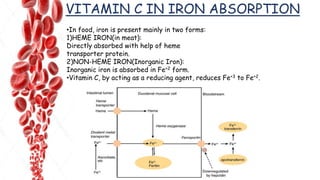 •In food, iron is present mainly in two forms:
1)HEME IRON(in meat):
Directly absorbed with help of heme
transporter protein.
2)NON-HEME IRON(Inorganic Iron):
Inorganic iron is absorbed in Fe+2 form.
•Vitamin C, by acting as a reducing agent, reduces Fe+3 to Fe+2.
VITAMIN C IN IRON ABSORPTION
 