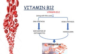 VITAMIN B12
DNA SYNTHESIS
MATURATION OF
ERYTHROCYTES
VITAMIN B12
HEME SYNTHESIS
(along with folic acid)
HEMOGLOBIN
ERYTHROPOIESIS
 