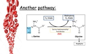 Another pathway:
Porphyrins
Serine Hydroxymethyl
Transferase
(PLP)
 