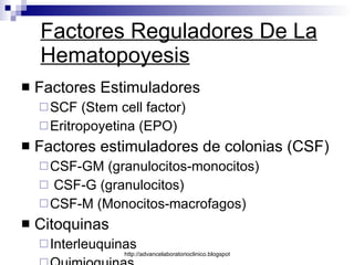Factores Reguladores De La Hematopoyesis Factores Estimuladores  SCF (Stem cell factor) Eritropoyetina (EPO) Factores estimuladores de colonias (CSF) CSF-GM (granulocitos-monocitos) CSF-G (granulocitos) CSF-M (Monocitos-macrofagos) Citoquinas Interleuquinas Quimioquinas 
