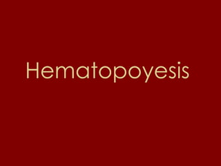Hematopoyesis  