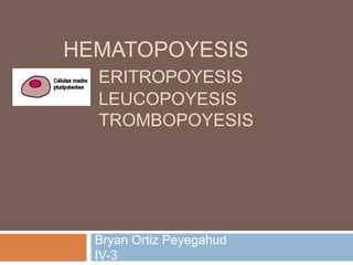 HEMATOPOYESIS
  ERITROPOYESIS
  LEUCOPOYESIS
  TROMBOPOYESIS




  Bryan Ortiz Peyegahud
  IV-3
 