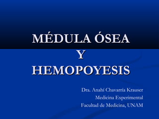 MÉDULA ÓSEA
Y
HEMOPOYESIS
Dra. Anahí Chavarría Krauser
Medicina Experimental
Facultad de Medicina, UNAM

 