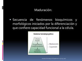 Maduración:
 Secuencia de fenómenos bioquímicos y
morfológicos iniciados por la diferenciación y
que confiere capacidad funcional a la célula.
Annals of Oncology 18 (Supplement 1): i9–i13, 2007
 