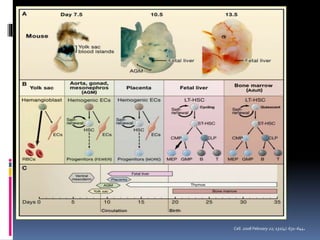 Cell. 2008 February 22; 132(4): 631–644.
 
