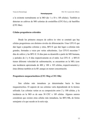Temas de Hematología Prof. Dr. Lazarowski Alberto
Hematopoyesis
13
a la existente normalmente en la MO (de 1 a 10 x 105 células). También se
detectan en cultivos de MO colonias de eosinófilos (CFC-Eo) y de basófilos
(CFC-Bas).
Células progenitoras eritroides
Desde los primeros ensayos de cultivo in vitro se constató que hay
células progenitoras con distintos niveles de diferenciación. Unas UFU-E que
dan lugar a pequeñas colonias y otras, BFU-E que dan lugar a colonias más
grandes, formadas a veces por varias subcolonias.. Las CFU-E necesitan 7
días de cultivo y las BFU-E 14 días para su desarrollo a partir de MO humana,
y períodos de 2 y 8 días respectivamente en el ratón. Las CFU-E y BFU-E
tienen diferente velocidad de sedimentación, se encuentran en la MO, (con
una incidencia aproximada de 400 y 100 x 105 células, respectivamente) y
éstas últimas también en la SP, aunque en menor concentración.
Progenitores megacariocíticos (CFC-Meg o CFC-Mk)
Son células más inmaduras ya determinadas hacia la línea
megacariocítica. El aspecto de sus colonias varía dependiendo de la técnica
utilizada. Las colonias varían en su composición entre 2 y 100 células, y la
incidencia en la MO es de unas 30 CFC x 105 células. Algunos autores
consideran que existen otras células más inmaduras, las BFU-Mk, de forma
semejante a lo que sucede en la serie roja.
 