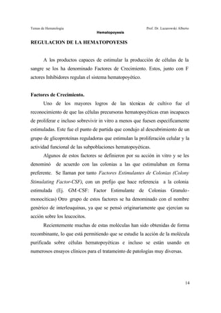 Temas de Hematología Prof. Dr. Lazarowski Alberto
Hematopoyesis
14
REGULACION DE LA HEMATOPOYESIS
A los productos capaces de estimular la producción de células de la
sangre se los ha denominado Factores de Crecimiento. Estos, junto con F
actores Inhibidores regulan el sistema hematopoyético.
Factores de Crecimiento.
Uno de los mayores logros de las técnicas de cultivo fue el
reconocimiento de que las células precursoras hematopoyéticas eran incapaces
de proliferar e incluso sobrevivir in vitro a menos que fuesen específicamente
estimuladas. Este fue el punto de partida que condujo al descubrimiento de un
grupo de glicoproteínas reguladoras que estimulan la proliferación celular y la
actividad funcional de las subpoblaciones hematopoyéticas.
Algunos de estos factores se definieron por su acción in vitro y se les
denominó de acuerdo con las colonias a las que estimulaban en forma
preferente. Se llaman por tanto Factores Estimulantes de Colonias (Colony
Stimulating Factor-CSF), con un prefijo que hace referencia a la colonia
estimulada (Ej. GM-CSF: Factor Estimulante de Colonias Granulo-
monocíticas) Otro grupo de estos factores se ha denominado con el nombre
genérico de interleuquinas, ya que se pensó originariamente que ejercían su
acción sobre los leucocitos.
Recientemente muchas de estas moléculas han sido obtenidas de forma
recombinante, lo que está permitiendo que se estudie la acción de la molécula
purificada sobre células hematopoyéticas e incluso se están usando en
numerosos ensayos clínicos para el tratameinto de patologías muy diversas.
 