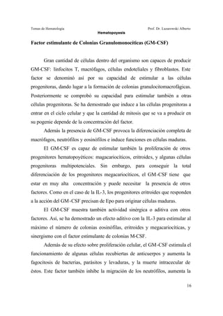 Temas de Hematología Prof. Dr. Lazarowski Alberto
Hematopoyesis
16
Factor estimulante de Colonias Granulomonocíticas (GM-CSF)
Gran cantidad de células dentro del organismo son capaces de producir
GM-CSF: linfocitos T, macrófagos, células endoteliales y fibroblastos. Este
factor se denominó así por su capacidad de estimular a las células
progenitoras, dando lugar a la formación de colonias granulocitomacrofágicas.
Posteriormente se comprobó su capacidad para estimular también a otras
células progenitoras. Se ha demostrado que induce a las células progenitoras a
entrar en el ciclo celular y que la cantidad de mitosis que se va a producir en
su pogenie depende de la concentración del factor.
Además la presencia de GM-CSF provoca la diferenciación completa de
macrófagos, neutrófilos y eosinófilos e induce funciones en células maduras.
El GM-CSF es capaz de estimular también la proliferación de otros
progenitores hematopoyéticos: magacariocíticos, eritroides, y algunas células
progenitoras multipotenciales. Sin embargo, para conseguir la total
diferenciación de los progenitores megacariocíticos, el GM-CSF tiene que
estar en muy alta concentración y puede necesitar la presencia de otros
factores. Como en el caso de la IL-3, los progenitores eritroides que responden
a la acción del GM-CSF precisan de Epo para originar células maduras.
El GM-CSF muestra también actividad sinérgica o aditiva con otros
factores. Así, se ha demostrado un efecto aditivo con la IL-3 para estimular al
máximo el número de colonias eosinófilas, eritroides y megacariocíticas, y
sinergismo con el factor estimulante de colonias M-CSF.
Además de su efecto sobre proliferación celular, el GM-CSF estimula el
funcionamiento de algunas células recubiertas de anticuerpos y aumenta la
fagocitosis de bacterias, parásitos y levaduras, y la muerte intracecular de
éstos. Este factor también inhibe la migración de los neutrófilos, aumenta la
 