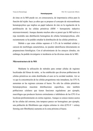 Temas de Hematología Prof. Dr. Lazarowski Alberto
Hematopoyesis
23
de éstas en la MO puede ser, en consecuencia, de importancia crítica para la
función del tejido. hace ya años que se propuso el concepto de microambiente
hematopoyético que implica un papel inductor de éste en la regulación de la
proliferación de las células primitivas (HIM = hemopoietic inductive
microenviroment). Aunque durante muchos años se pensó que la MO activa o
roja mostraba una distribución homogénea de células hematopoyéticas, sólo
recientemente se ha podido estudiar la distribución de las células primitivas.
Debido a que estas células suponen el 1-2% de la totalidad celular y
carecen de morfología característica, no pueden identificarse directamente en
preparaciones histológicas. Con el advenimiento de los ensayos clonales, sin
embargo, ha podido investigarse si incidencia en las diversas zonas de la MO.
Microestructura de la MO.
Mediante la utilización de métodos para extraer células de regiones
localizadas del fémur de ratón, se ha establecido que diversas poblaciones de
células primitivas no están distribuidas al azar en la cavidad medular. Así se
ve que la concentración de las células progenitoras más inmaduras, las CFU-S,
aumentan en las regiones cercanas al hueso. No sólo las células primitivas
hematopoyéticas muestran distribuciones específicas, sino también
poblaciones celulares que tienen funciones reguladoras: por ejemplo,
macrófagos que producen factores estimulantes e inhibidores de las CFU-S se
localizan preferentemente en ciertas regiones. Aunque se conoce menos acerca
de las células del estroma, ésta tampoco parece ser homogénea: por ejemplo,
una población de fibroblastos que origina colonias in vitro (CFU-F = colony
forming unit fibroblastic) aumenta en la zona próxima al hueso.
 