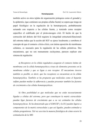 Temas de Hematología Prof. Dr. Lazarowski Alberto
Hematopoyesis
28
también activo en otros tejidos de organización jerárquica como el gonadal y
la epidermis, (que contienen sus propias células fuente) se espera que tenga un
papel fisiológico en la regulación de la hematopoyesis, probablemente
actuando con respecto a las células fuente, y teniendo como receptor
específico el codificado por el proto-oncogen c-kit. El hecho de que la
corrección del defecto del S1d requiera la integridad estructural (funcional)
del estroma indica que la acción del SCF se ejerce localmente y corrobora el
concepto de que el contacto célula-célula, con íntima aposición de membranas
celulares, es necesario para la regulación de las células primitivas. Dos
mecanismos, que no son mutuamente excluyentes, parecen explicar este
sistema de regulación:
a) Receptores en la célula reguladora aseguran el contacto íntimo de
membrana con la célula hematopoyética a traes de elementos presentes en la
membrana celular y que se ligan a este receptor. El mecanismo inverso
también es posible, es decir, que los receptores se encuentran en la célula
hematopoyética. También se ha propuesto que moléculas como el heparán
sulfato puedan mediar la adherencia y puedan presentar también los factores
de crecimiento a las células hematopoyéticas.
b) Otra posibilidad es que moléculas que no están necesariamente
ligadas a células del estroma, pero que constituyen la matriz extracelular
puedan ligar factores de crecimiento que a su vez estimulen las células
hematopoyéticas. Se ha demostrado que el GM-CSF y la Il-3 pueden ligarse a
componentes de la matriz extracelular y que así ligados, pueden estimular a
células progenitoras. Tal vez sea ésta la manera fisiológica de cómo ocurre la
estimulación de la MO.
 