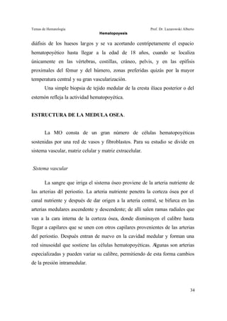 Temas de Hematología Prof. Dr. Lazarowski Alberto
Hematopoyesis
34
diáfisis de los huesos largos y se va acortando centrípetamente el espacio
hematopoyético hasta llegar a la edad de 18 años, cuando se localiza
únicamente en las vértebras, costillas, cráneo, pelvis, y en las epífisis
proximales del fémur y del húmero, zonas preferidas quizás por la mayor
temperatura central y su gran vascularización.
Una simple biopsia de tejido medular de la cresta ilíaca posterior o del
esternón refleja la actividad hematopoyética.
ESTRUCTURA DE LA MEDULA OSEA.
La MO consta de un gran número de células hematopoyéticas
sostenidas por una red de vasos y fibroblastos. Para su estudio se divide en
sistema vascular, matriz celular y matriz extracelular.
Sistema vascular
La sangre que irriga el sistema óseo proviene de la arteria nutriente de
las arterias del periostio. La arteria nutriente penetra la corteza ósea por el
canal nutriente y después de dar origen a la arteria central, se bifurca en las
arterias medulares ascendente y descendente; de allí salen ramas radiales que
van a la cara interna de la corteza ósea, donde disminuyen el calibre hasta
llegar a capilares que se unen con otros capilares provenientes de las arterias
del periostio. Después entran de nuevo en la cavidad medular y forman una
red sinusoidal que sostiene las células hematopoyéticas. Algunas son arterias
especializadas y pueden variar su calibre, permitiendo de esta forma cambios
de la presión intramedular.
 