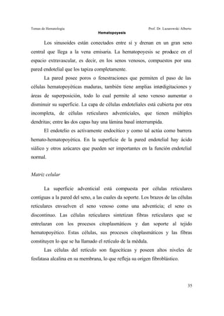 Temas de Hematología Prof. Dr. Lazarowski Alberto
Hematopoyesis
35
Los sinusoides están conectados entre sí y drenan en un gran seno
central que llega a la vena emisaria. La hematopoyesis se produce en el
espacio extravascular, es decir, en los senos venosos, compuestos por una
pared endotelial que los tapiza completamente.
La pared posee poros o fenestraciones que permiten el paso de las
células hematopoyéticas maduras, también tiene amplias interdigitaciones y
áreas de superposición, todo lo cual permite al seno venoso aumentar o
disminuir su superficie. La capa de células endoteliales está cubierta por otra
incompleta, de células reticulares adventiciales, que tienen múltiples
dendritas; entre las dos capas hay una lámina basal interrumpida.
El endotelio es activamente endocítico y como tal actúa como barrera
hemato-hematopoyética. En la superficie de la pared endotelial hay ácido
siálico y otros azúcares que pueden ser importantes en la función endotelial
normal.
Matriz celular
La superficie adventicial está compuesta por células reticulares
contiguas a la pared del seno, a las cuales da soporte. Los brazos de las células
reticulares envuelven el seno venoso como una adventicia; el seno es
discontinuo. Las células reticulares sintetizan fibras reticulares que se
entrelazan con los procesos citoplasmáticos y dan soporte al tejido
hematopoyético. Estas células, sus procesos citoplasmáticos y las fibras
constituyen lo que se ha llamado el retículo de la médula.
Las células del retículo son fagocíticas y poseen altos niveles de
fosfatasa alcalina en su membrana, lo que refleja su origen fibroblástico.
 