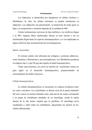 Temas de Hematología Prof. Dr. Lazarowski Alberto
Hematopoyesis
36
Los adipocitos se desarrollan por lipogénesis en células similares a
fibroblastos. In vitro, las células reticulares se pueden transformar en
adipocitos. Los adipocitos son parasinusales, su proporción de ácido graso es
baja y su composición y extensión depende de la cantidad de MO.
Ciertas terminaciones nerviosas de tipo mielínico y no mielínico llegan
a la MO. Algunas fibras mielinizadas afectan al tono arterial y las no
mielinizadas llegan hasta los espacios hematopoyéticos y se ven implicadas en
algún control de tipo neurohormonal de la hematopoyesis.
Matriz extracelular
El estroma celular está reforzado por colágeno y proteínas adhesivas,
como laminina y fibronectina y por proteoglicanos. Los fibroblastos producen
el colágeno tipo I y tipo III que dan soporte al tejido hematopoyético.
Todas estas proteínas, así como los factores de crecimiento, tienen un
gran papel en el desarrollo hematopoyético, proporcionando un
microambiente favorable al proceso.
Células hematopoyéticas.
La células hematopoyéticas se encuentran en cadenas (cordones) entre
los senos vasculares. Los eritroblastos se ubican cerca de la pared endotelial
del seno venoso en racimos llamados islas, cada una de las cuales corresponde
a un grupo de eritroblastos alrededor de un macrófago, siendo la región
interna de la isla menos madura que la periférica. El macrófago envía
seudópodos y cubre todos los eritroblastos, fagocitando los núcleos de las
células diferenciadas.
 