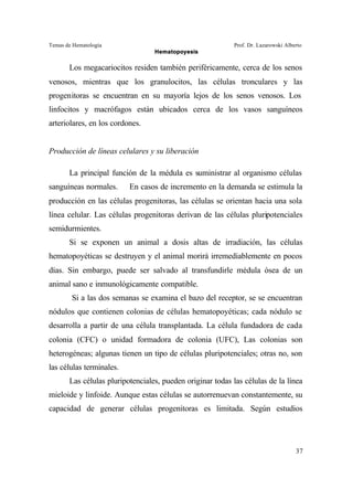 Temas de Hematología Prof. Dr. Lazarowski Alberto
Hematopoyesis
37
Los megacariocitos residen también periféricamente, cerca de los senos
venosos, mientras que los granulocitos, las células tronculares y las
progenitoras se encuentran en su mayoría lejos de los senos venosos. Los
linfocitos y macrófagos están ubicados cerca de los vasos sanguíneos
arteriolares, en los cordones.
Producción de líneas celulares y su liberación
La principal función de la médula es suministrar al organismo células
sanguíneas normales. En casos de incremento en la demanda se estimula la
producción en las células progenitoras, las células se orientan hacia una sola
línea celular. Las células progenitoras derivan de las células pluripotenciales
semidurmientes.
Si se exponen un animal a dosis altas de irradiación, las células
hematopoyéticas se destruyen y el animal morirá irremediablemente en pocos
días. Sin embargo, puede ser salvado al transfundirle médula ósea de un
animal sano e inmunológicamente compatible.
Si a las dos semanas se examina el bazo del receptor, se se encuentran
nódulos que contienen colonias de células hematopoyéticas; cada nódulo se
desarrolla a partir de una célula transplantada. La célula fundadora de cada
colonia (CFC) o unidad formadora de colonia (UFC), Las colonias son
heterogéneas; algunas tienen un tipo de células pluripotenciales; otras no, son
las células terminales.
Las células pluripotenciales, pueden originar todas las células de la línea
mieloide y linfoide. Aunque estas células se autorrenuevan constantemente, su
capacidad de generar células progenitoras es limitada. Según estudios
 