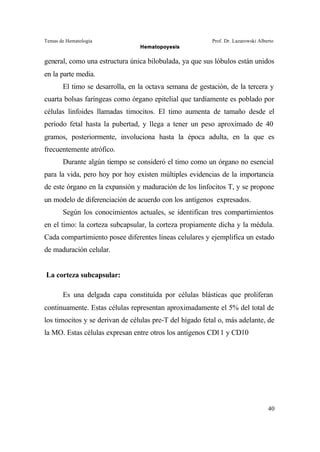 Temas de Hematología Prof. Dr. Lazarowski Alberto
Hematopoyesis
40
general, como una estructura única bilobulada, ya que sus lóbulos están unidos
en la parte media.
El timo se desarrolla, en la octava semana de gestación, de la tercera y
cuarta bolsas faríngeas como órgano epitelial que tardíamente es poblado por
células linfoides llamadas timocitos. El timo aumenta de tamaño desde el
período fetal hasta la pubertad, y llega a tener un peso aproximado de 40
gramos, posteriormente, involuciona hasta la época adulta, en la que es
frecuentemente atrófico.
Durante algún tiempo se consideró el timo como un órgano no esencial
para la vida, pero hoy por hoy existen múltiples evidencias de la importancia
de este órgano en la expansión y maduración de los linfocitos T, y se propone
un modelo de diferenciación de acuerdo con los antígenos expresados.
Según los conocimientos actuales, se identifican tres compartimientos
en el timo: la corteza subcapsular, la corteza propiamente dicha y la médula.
Cada compartimiento posee diferentes líneas celulares y ejemplifica un estado
de maduración celular.
La corteza subcapsular:
Es una delgada capa constituída por células blásticas que proliferan
continuamente. Estas células representan aproximadamente el 5% del total de
los timocitos y se derivan de células pre-T del hígado fetal o, más adelante, de
la MO. Estas células expresan entre otros los antígenos CD11 y CD10
 