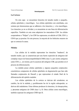 Temas de Hematología Prof. Dr. Lazarowski Alberto
Hematopoyesis
41
La Corteza:
En esta capa se encuentran timocitos de tamaño medio o pequeño,
células epiteliales y macrófagos. Las células epiteliales son estrelladas, con
uniones por desmosomas que se adhieren a los timocitos y a los macrófagos.
Los timocitos ya no se dividen y se encuentran en una línea de diferenciación
específica. También en esta zona adquieren los marcadores CD4 las células
cooperadoras o "Helper" y los CD8 las supresoras; en adición al CD6, CD11 y
CD10 que ya poseían. En este proceso, la mayoría de los linfocitos mueren sin
que se conozca la causa.
Médula:
Las células de la médula representan los timocitos "maduros", de
tamaño medio, que se caracterizan por una fuerte expresión de antígenos del
complejo mayor de histocompatibilidad (CMH) clase I y por ciertos antígenos
como CD3; y , así mismo, por la ausencia del antígeno CD6, que pierden en el
proceso de diferenciación.
La médula posee células epiteliales y algunos pequeños corpúsculos
concéntricos compuestos de células epiteliales en degeneración que han sido
llamados corpúsculos de Hassall y que representan el estado final de la
diferenciación del epitelio medular.
Las células epiteliales de la corteza se derivan del ectodermo; en
cambio, las de la médula, y posiblemente las de la región subcapsular, se
deriven del endodermo. Estas últimas producen la timosina y la timopoyetina,
y presentan antígenos de CMH clase I y II. Otras células como macrófagos,
también expresan los antígenos CMH tipo II.
 
