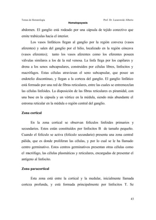 Temas de Hematología Prof. Dr. Lazarowski Alberto
Hematopoyesis
43
abdomen. El ganglio está rodeado por una cápsula de tejido conectivo que
emite trabéculas hacia el interior.
Los vasos linfáticos llegan al ganglio por la región convexa (vasos
aferentes) y salen del ganglio por el hilio, localizado en la región cóncava
(vasos eferentes); tanto los vasos aferentes como los eferentes poseen
válvulas similares a los de la red venosa. La linfa llega por los capilares y
drena a los senos subcapsulares, construídos por células libres, linfocitos y
macrófagos. Estas células atraviesan el seno subcapsular, que posee un
endotelio discontinuo, y llegan a la corteza del ganglio. El ganglio linfático
está formado por una red de fibras reticulares, entre las cuales se entremezclan
las células linfoides. La disposición de las fibras reticulares es piramidal, con
una base en la cápsula y un vértice en la médula, siendo más abundante el
estroma reticular en la médula o región central del ganglio.
Zona cortical
En la zona cortical se observan folículos linfoides primarios y
secundarios. Estos están constituídos por linfocitos B de tamaño pequeño.
Cuando el folículo se activa (folículo secundario) presenta una zona central
pálida, que es donde proliferan las células, y por lo cual se le ha llamado
centro germinativo. Estos centros germinativos presentan otras células como
el macrófago, las células plasmáticas y reticulares, encargadas de presentar el
antígeno al linfocito.
Zona paracortical
Esta zona está entre la cortical y la medular, inicialmente llamada
corteza profunda, y está formada principalmente por linfocitos T. Se
 