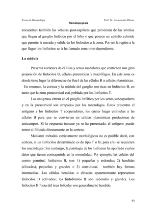 Temas de Hematología Prof. Dr. Lazarowski Alberto
Hematopoyesis
44
encuentran también las vénulas post-capilares que provienen de las arterias
que llegan al ganglio linfático por el hilio y que poseen un epitelio cuboide
que permite la entrada y salida de los linfocitos a la zona. Por ser la región a la
que llegan los linfocitos se la ha llamado zona timo-dependiente.
La médula
Presenta cordones de células y senos medulares que contienen una gran
proporción de linfocitos B, células plasmáticas y macrófagos. En esta zona es
donde tiene lugar la diferenciación final de las células B a células plasmáticas.
En resuman, la corteza y la médula del ganglio son ricas en linfocitos B, en
tanto que la zona paracortical está poblada por los linfocitos T.
Los antígenos entran en el ganglio linfático por los senos subcapsulares
y en la paracortical son atrapados por los macrófagos. Estos presentan el
antígeno a los linfocitos T cooperadores, los cuales luego estimulan a las
células B para que se conviertan en células plasmáticas productoras de
anticuerpos. Si la respuesta inmune ya se ha presentado, el antígeno puede
entrar al folículo directamente en la corteza.
Mediante métodos estrictamente morfológicos no es posible decir, con
certeza, si un linfocitos determinado es de tipo T o B; para ello se requieren
los macrófagos. Sin embargo, la patología de los linfomas ha aportado ciertos
datos que tienen contrapartida en la normalidad. Por ejemplo, las células del
centro germinal, linfocitos B, son: 1) pequeñas y redondas; 2) hendidas
(clivadas), pequeñas y grandes o 3) convolutas; también hay formas
intermedias. Las células hendidas o clivadas aparentemente representan
linfocitos B activados; los linfoblastos B son redondos y grandes. Los
linfocitos B fuera del área folicular son generalmente hendido.
 