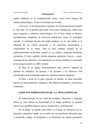 Temas de Hematología Prof. Dr. Lazarowski Alberto
Hematopoyesis
48
amplia influencia en el compartimiento célula. Como otros órganos del
sistema inmunológico, el bazo involuciona con la edad.
Funciones: La hematopoyesis se produce en el bazo únicamente durante
la vida fetal. En el período post-natal sólo ocurre linfopoyesis, sobre todo
como respuesta a estímulos inmunológicos. En el bazo adulto se observa
hematopoyesis solamente en procesos neoplásicos como la metaplasia
mielode. La principal función del tejido esplénico en la vida adulta es la
filtración de las células anormales y de sustancias intracelulares y
extracelulares de la sangre. Esto se hace evidente después de ser
esplenectomizado un paciente, cuando se ven células y plaquetas anormales
circulantes. El bazo también elimina pequeñas partículas férricas o restos
nucleares de los eritrocitos. Los reticulocitos en el bazo maduran y como parte
de ese proceso pierden su ARN residual.
El bazo es un órgano inmunorreactivo muy efectivo. después de
capturar los antígenos. los procesa y los presenta a los linfocitos. Está
considerado como el principal órgano de vigilancia inmune sanguínea.
El bazo, a pesar de su gran variación de tamaño, no tiene apreciable
función de almacenamiento sanguíneo; sólo almacena plaquetas, reticulocitos
y linfocitos.
ASPECTOS MORFOLOGICOS DE LA HEMATOPOYESIS
El mantenimiento de las cifras de hematíes, leucocitos y plaquetas
dentro de unos límites de normalidad en la sangre periférica se produce
gracias a un equilibrio balance entre su producción y su destrucción.
En al adulto, la médula ósea (MO) es el lugar de formación de los
elementos sanguíneos donde, en un lecho con microambiente adecuados para
su desarrollo, anidan, se multiplican y se diferencian las células germinales
 