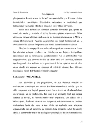 Temas de Hematología Prof. Dr. Lazarowski Alberto
Hematopoyesis
49
pluripotentes. La estructura de la MO está constituída por diversas células
(endoteliales, macrófagos, fibroblastos, adipocitos, y mastocitos), por
formaciones vasculares, fibrillas y colágeno, y por filetes nerviosos.
Todas ellas forman los llamados cordones medulares que, aparte de
servir de sostén y armazón al tejido hematopoyético propiamente dicho,
ejercen de barrera selectiva en el paso de las formas maduras desde la MO a la
sangre (Citodiabasis). Además desempeñan un papel fundamental en la
evolución de las células comprometidas en una determinada línea celular.
El tejido hematopoyético se sitúa en los espacios extravasculares, donde
las distintas estirpes celulares de distribuyen en lugares topográficos
relacionados con su capacidad de desplazamiento. Así los eritroblastos y los
megacariocitos, que carecen de ella, se sitúan cerca del sinusoide, mientras
que los granulocitos lo hacen en la parte central de los espacios intersticiales,
desde donde son capaces de alcanzar el endotelio sinusal. Los folículos
linfoides se hallan distribuidos de manera irregular.
SERIE ERITROBLASTICA.
Los eritrocitos y sus progenitores, en sus distintos estadíos de
maduración, constituyen una unidad funcional denominada eritrón que ha
sido comparada con la piel porque como ésta, a través de oleadas celulares
que avanzan en su maduración, dan lugar a un elemento final que aunque
carezca de núcleo, es funcionalmente muy importante. Las células de la
eritropoyesis, desde sus estadíos más tempranos, sufren una serie de cambios
madurativos hasta dar lugar a una célula no nucleada pero altamente
especializada para el transporte de oxígeno. Este concepto global del eritrón
ayuda a comprender mejor la fisiología y patología de la serie eritroblástica.
 