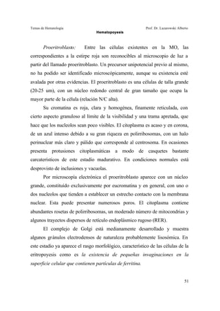 Temas de Hematología Prof. Dr. Lazarowski Alberto
Hematopoyesis
51
Proeritroblasto: Entre las células existentes en la MO, las
correspondientes a la estirpe roja son reconocibles al microscopio de luz a
partir del llamado proeritroblasto. Un precursor unipotencial previo al mismo,
no ha podido ser identificado microscópicamente, aunque su existencia esté
avalada por otras evidencias. El proeritroblasto es una células de talla grande
(20-25 um), con un núcleo redondo central de gran tamaño que ocupa la
mayor parte de la célula (relación N/C alta).
Su cromatina es roja, clara y homogénea, finamente reticulada, con
cierto aspecto granuloso al límite de la visibilidad y una trama apretada, que
hace que los nucleolos sean poco visibles. El citoplasma es acaso y en corona,
de un azul intenso debido a su gran riqueza en polirribosomas, con un halo
perinuclear más claro y pálido que corresponde al centrosoma. En ocasiones
presenta protusiones citoplasmáticas a modo de casquetes bastante
carcaterísticos de este estadío madurativo. En condiciones normales está
desprovisto de inclusiones y vacuolas.
Por microscopía electrónica el proeritroblasto aparece con un núcleo
grande, constituído exclusivamente por eucromatina y en general, con uno o
dos nucleolos que tienden a establecer un estrecho contacto con la membrana
nuclear. Esta puede presentar numerosos poros. El citoplasma contiene
abundantes rosetas de polirribosomas, un moderado número de mitocondrias y
algunos trayectos dispersos de retículo endoplásmico rugoso (RER).
El complejo de Golgi está medianamente desarrollado y muestra
algunos gránulos electrodensos de naturaleza probablemente lisosómica. En
este estadío ya aparece el rasgo morfológico, característico de las células de la
eritropoyesis como es la existencia de pequeñas invaginaciones en la
superficie celular que contienen partículas de ferritina.
 