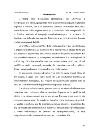 Temas de Hematología Prof. Dr. Lazarowski Alberto
Hematopoyesis
52
Mediante estos mecanismos (rofeocitosis) son absorbidas e
incorporadas a la célula, apareciendo en su citoplasma una especie de gránulos
dispersos o cúmulos, con o sin membrana, llamados siderosomas. Otra vía a
través de la cual el hierro puede entrar en el eritroblasto es la incorporación de
la ferritina mediante el complejo transferrina-receptor. La presencia de
ferritina es un indicador que permite diferenciar a los proeritroblastos de otras
células inmaduras de la MO.
Eritroblasto policromatófilo: Esta célula, constituye pos su citoplasma,
la expresión morfológica de la síntesis de la hemoglobina y abarca desde que
ésta empieza a reconocerse hasta que la basofilia desaparece totalmente. En
este período el contenido de hemoglobina asciende desde 1 x 10-6/ug hasta 23
x 10-6 /ug. El policromatófilo tiene un tamaño inferior (8-12 um) al del
basófilo, su núcleo es central y redondo y la cromatina es de color violáceo,
densa y condensada como corresponde a una célula madura.
El citoplasma contornea el núcleo y su color va desde el azul pálido al
gris oscuro, a veces con cierto matiz lila y en condiciones normales, es
completamente homogéneo, La relación nucleocitoplasma alcanza solo el
25%. Es la última célula eritropoyética con capacidad mitótica.
La microscopía electrónica permite observar en estos eritroblastos una
cromatina más condensada (heterocromatina) dispuesta en la periferia del
núcleo y en íntimo contacto con su membrana. En otras zonas aparece sin
condensar (eucromatina) formando los llamados poros nucleares, a través de
los cuales es probable que la información nuclear alcance el citoplasma. En
éste se detecta una disminución del número de mitocondrias y polirribosomas
y, como consecuencia del proceso de hemoglobinización, se hace
progresivamente electrodenso al aumenter su contenido en Hb.
 