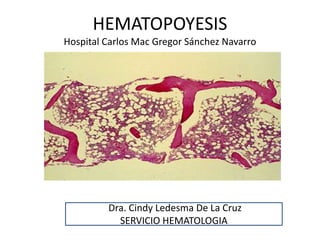 HEMATOPOYESIS
Hospital Carlos Mac Gregor Sánchez Navarro
Dra. Cindy Ledesma De La Cruz
SERVICIO HEMATOLOGIA
 