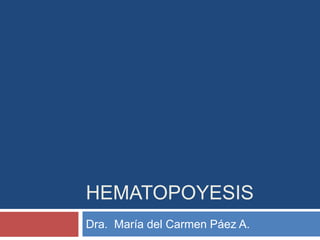 HEMATOPOYESIS
Dra. María del Carmen Páez A.
 