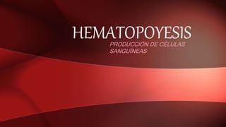 HEMATOPOYESIS
PRODUCCIÓN DE CÉLULAS
SANGUÍNEAS
 