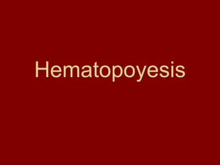Hematopoyesis
 