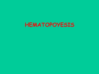 HEMATOPOYESIS 
 