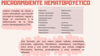 Regular Cth Hematopoyesis_20260207_121802_000000.pdf