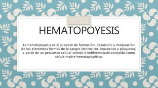 HEMATOPOYESIS
La hematopoyesis es el proceso de formación, desarrollo y maduración
de los elementos formes de la sangre (eritrocitos, leucocitos y plaquetas)
a partir de un precursor celular común e indiferenciado conocido como
célula madre hematopoyética.
 