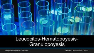 Leucocitos-Hematopoyesis-
Granulopoyesis
Hugo Cesar Matías Gonzalez Técnico Laboratorista Clínico
 