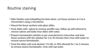 Routine Staining Hematoxylin and eosin stain presentation.pptx