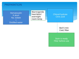  PREPARATION
Hematoxylin
K alum
Na. iodate
+
Distilled water
Chloral hydrate
Citric acid
Stain is ready
Filter before use
Warm/gentle
heat &stir/
overnight
room temp
Boil 5 min
Cool, filter
 