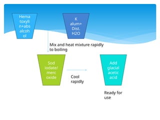 Hema
toxyli
n+abs
alcoh
ol
K
alum+
Dist.
H2O
Mix and heat mixture rapidly
to boiling
Sod
iodate/
merc
oxide Cool
rapidly
Add
glacial
acetic
acid
Ready for
use
 