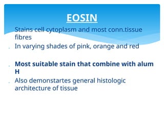  Stains cell cytoplasm and most conn.tissue
fibres
 In varying shades of pink, orange and red
 Most suitable stain that combine with alum
H
 Also demonstartes general histologic
architecture of tissue
EOSIN
 