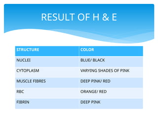 STRUCTURE COLOR
NUCLEI BLUE/ BLACK
CYTOPLASM VARYING SHADES OF PINK
MUSCLE FIBRES DEEP PINK/ RED
RBC ORANGE/ RED
FIBRIN DEEP PINK
RESULT OF H & E
 